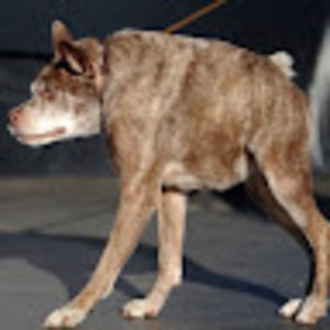 Meet your Posher, Taryn